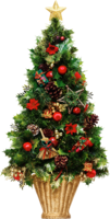 holidays & christmas tree free transparent png image.