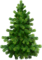 holidays & christmas tree free transparent png image.