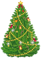 holidays & christmas tree free transparent png image.