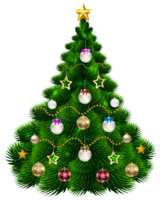 holidays & Christmas tree free transparent png image.