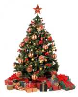 holidays & christmas tree free transparent png image.