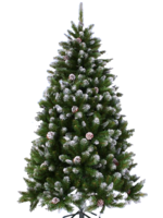 holidays & christmas tree free transparent png image.