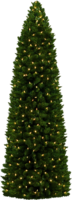 holidays & Christmas tree free transparent png image.