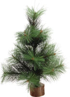 holidays & christmas tree free transparent png image.