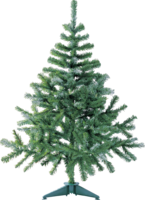 holidays & Christmas tree free transparent png image.