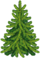 holidays & Christmas tree free transparent png image.