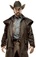 celebrities & chuck norris free transparent png image.