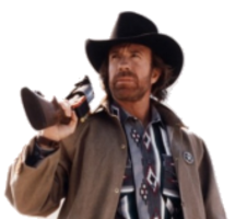 celebrities & chuck norris free transparent png image.