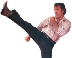 celebrities & chuck norris free transparent png image.