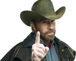 celebrities & chuck norris free transparent png image.