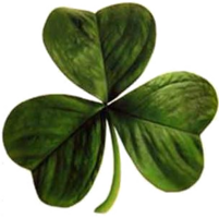 flowers & Clover free transparent png image.