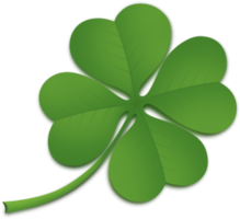 flowers & clover free transparent png image.