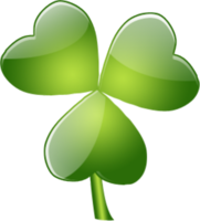 flowers & clover free transparent png image.