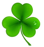 flowers & Clover free transparent png image.