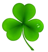 flowers & clover free transparent png image.