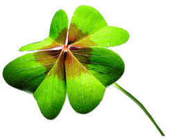 flowers & Clover free transparent png image.