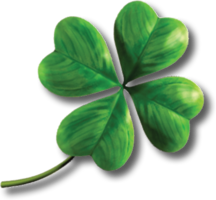 flowers & Clover free transparent png image.