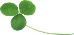 flowers & Clover free transparent png image.