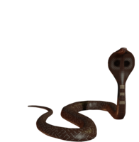 animals & cobra free transparent png image.