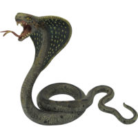 animals & cobra free transparent png image.