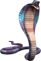 animals & Cobra free transparent png image.