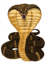 animals & Cobra free transparent png image.