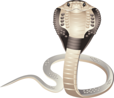 animals & Cobra free transparent png image.