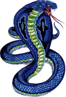 animals & Cobra free transparent png image.