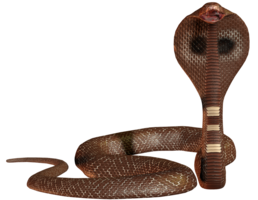 animals & Cobra free transparent png image.