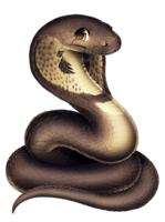 animals & Cobra free transparent png image.