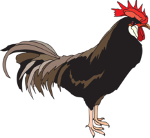 animals & cock free transparent png image.