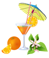 food & cocktail free transparent png image.