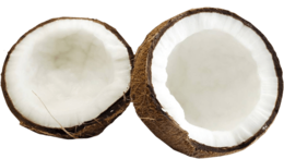 fruits & Coconut free transparent png image.