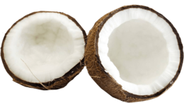 fruits & coconut free transparent png image.