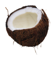 fruits & Coconut free transparent png image.