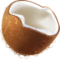 fruits & Coconut free transparent png image.