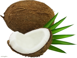 fruits & coconut free transparent png image.