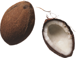 fruits & coconut free transparent png image.