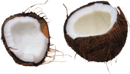 fruits & coconut free transparent png image.