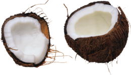 fruits & Coconut free transparent png image.