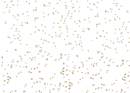 holidays & confetti free transparent png image.