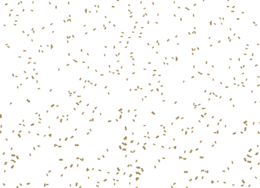 holidays & Confetti free transparent png image.