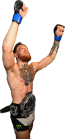 celebrities & Conor McGregor free transparent png image.