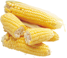 vegetables & Corn free transparent png image.