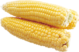 vegetables & corn free transparent png image.