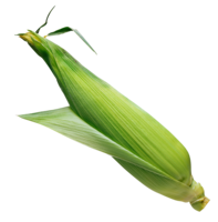 vegetables & Corn free transparent png image.