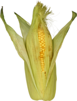 vegetables & corn free transparent png image.