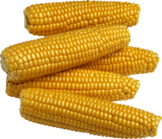 vegetables & corn free transparent png image.