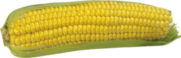 vegetables & corn free transparent png image.