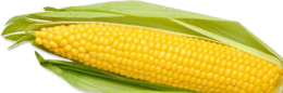 vegetables & corn free transparent png image.